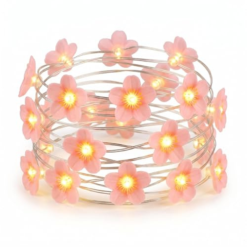 DiiWmme 2M 20 LED Pink Cherry Blossom Fairy Lights, Battery Operated Flower String Lights for Bedroom Decor, Indoor Spring and Christmas Decorations, Girls Room Gift (Peach Blossoms)