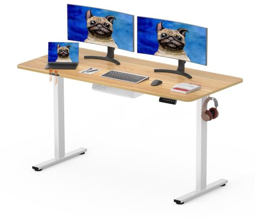 SANODESK 120 x 60cm Electric Standing Desk ONE PIECE Height Adjustable Desk with Cable Management Tray Sit Stand Desk for Office, Maple