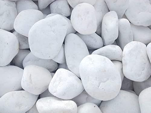 Vegara Stone Piedra Jardín Decoración Canto Rodado Blanco Puro 4-6 cm (10)