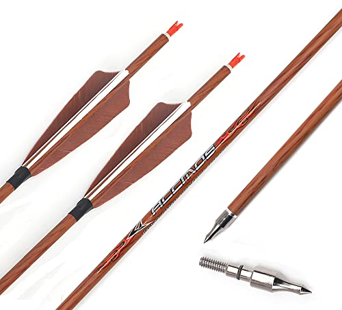 ACCMOS ID 6,2 mm Spine 600 Jagdpfeil Holzähnlich Carbon-Pfeile für Recurve Bogen Compound Bögen 12Stück (31inch, Spine 600)