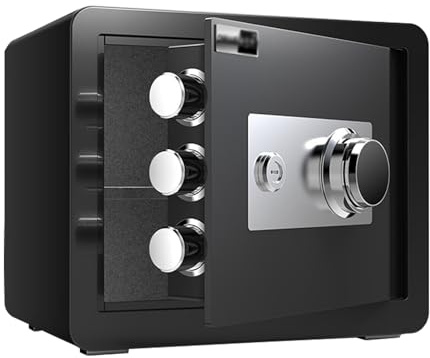 Mini Tresor mit Schlüssel Geldkassette Zahlenschloss Kleiner Safe für Zuhause Geldtresor für Geld, Bargeld, Medikamente, Pistole(Black,30CM/12IN)