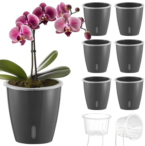 KvyusFlourish Lot de 6 pots à arrosage automatique pour plantes d'intérieur de 12,7 cm avec trous de drainage, petits pots de violette africaine avec indicateur d'eau, mèche transparente, gris doré