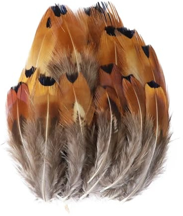 Paon faisan poulet plume en vrac 3-15 cm bricolage artisanat bijoux boucles d'oreilles mariage plume décoration(Coffee,20PCS)