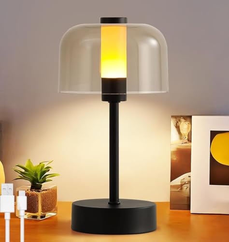 LOGT LED Mushroom Table Lamp Rechargeable 3 Colours Dimmable Table Light Touch Switch Black Portable Bedside Lamp USB Rechargeable 3000K-6000K Metal+Acrylic Battery Lantern Indoor and Outdoor