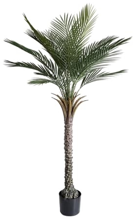 momoplant Artificial Palm Tree 5 Ft Tall UV Rated Faux Tropical Palm Plant in Pot for Indoor or Outdoor Home Office Decor