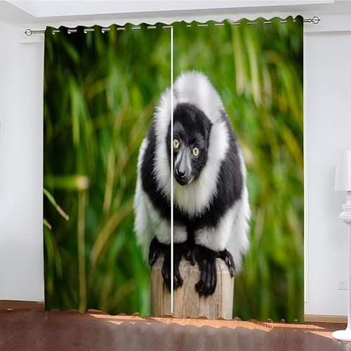 YZQGLHP Gardinen Schwarz-Weiß-Lemur Vorhänge Tier Verdunklungsvorhänge Schiebe Schallschutz Vorhang mit Ösen für Schlafzimmer Wohnzimmer H245 x B140 cm 2 teiliges Set