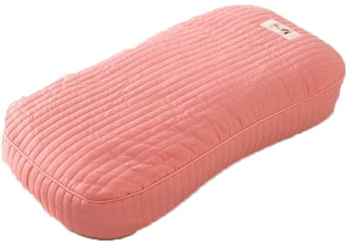 ROSEEONNE Oreiller Oreiller en Sarrasin Entier pour Les dormeurs sur Le côté, Le Dos et Le Ventre, Oreiller de lit pour Dormir, Taille Standard 30 x 50 cm, Oreiller Dur Oreillers Classiques
