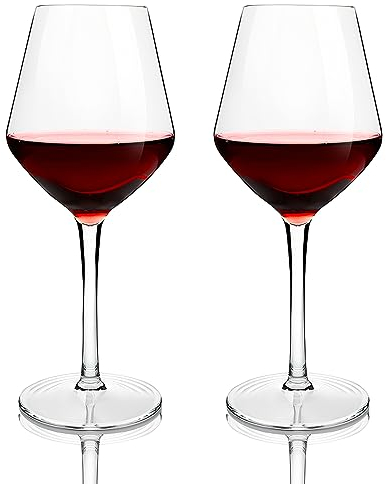 shallyong Calici Plastica Rigida Lavabili 2 Pezzi, Riutilizzabile Calici Vino Plastica, 425ml Bicchieri Vino Rosso, Vino Bianco