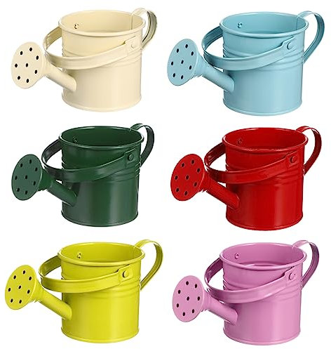 GANAZONO 6pièces Arrosoir Fer avec Bec pour Arrosage Précis Arrosoir Décoratif Multi-Couleurs pour Jardin Et Plantes Intérieur