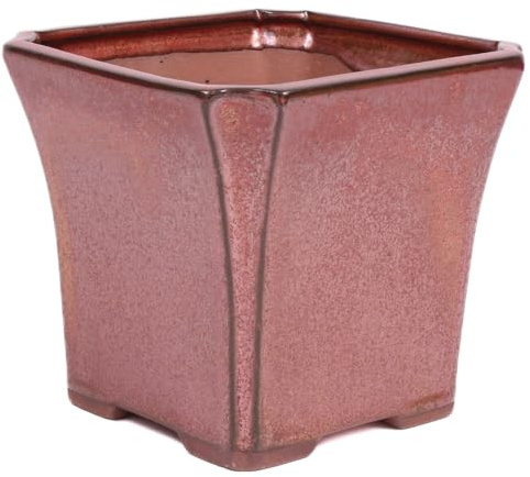 generisch Bonsai Kaskadenschale quadratisch 15.5 x 15.5 x 14 cm kupferfarben 50214
