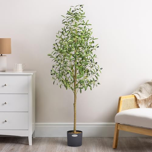 Christow Artificial Olive Tree In Pot, 5ft | 728 Feel-Real PEVA Leaves, 42 Faux Olives, Weighted Pot, Indoor Decoration, Ideal for Homes & Offices