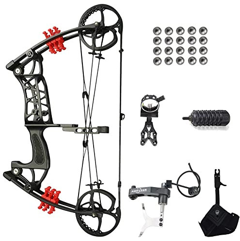 SHARROW 30-55Lbs Compoundbogen Set Erwachsene Bogenschießen Katapult Stahlball Dual-Use Compoundbogen Jagdbogen Angeln Bogen und Pfeil Set für Erwachsene Jagd Angeln Linkshändig Rechtshändig (Typ B)