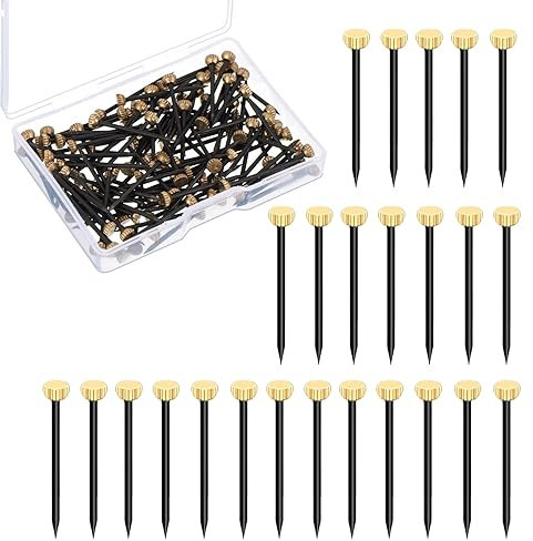 50Pcs Metal Plaster Picture Frame Hangers Picture Hanging Nails with Plastic Storage Box,Picture Pins Frame Hanging Nails,Metal Head Hanging Pins Nail Hook Pins for Hanging Photo Frame