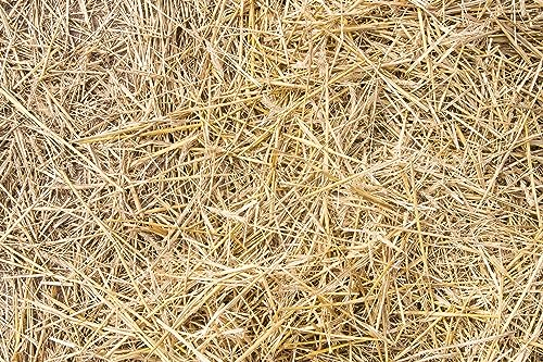 naturling Stroh 70x50x30cm - ca 9 kg Strohballen frische Ernte - Deko Futter für Kaninchen, Meerschweinchen Hamster Pferde