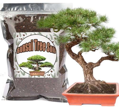 Bonsai Soil Mix 4L Ready to Use, Organic Bonsai Tree Soil Fits for Small Bonsai Pot, Suitable for Bonsai Seedling, Repotting, or Bonsai Starter Kit