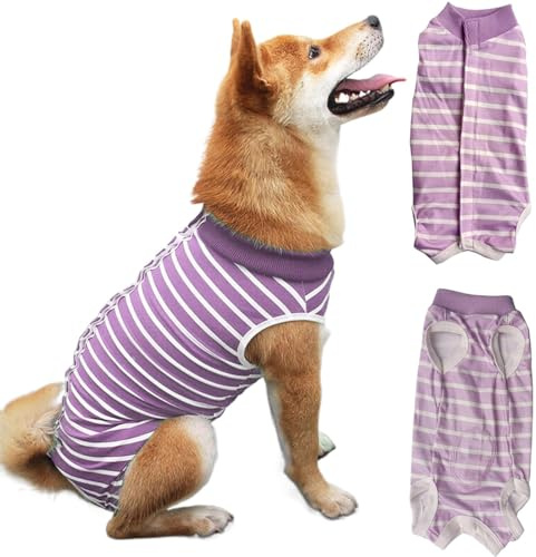Combinaison chirurgicale pour body chien, body pour chien après stérilisation, combinaison de convalescence pour chien,protection contre les allergies et les plaies (Violet, XL)