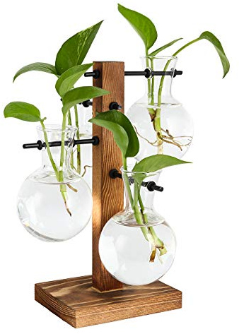 PAG Hydrokultur Glas Vase Kit mit 3 Verschiedenen Längen Glasvase und Massivholz Stand，Garten Glas Pflanzenregal Indoor,für Home Office Dekoration