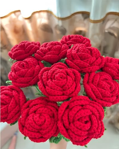 YOFANUP Fiori all'uncinetto, bouquet di fiori all'uncinetto fai da te, fiori finiti fatti a mano, fiori artificiali, rose rosse lavorate a maglia per mamma, moglie, amica (10, rosso)