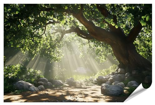 islandburner XXL Bild Poster Sonnenstrahlen im Wald Premium Bilder Fotodruck