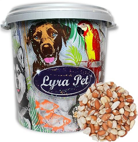 Lyra Pet® | 10 kg Erdnusskerne Splits blanchiert & mit Haut gemischt in 30 L Tonne | Neue Ernte | Ganzjahres Vogelfutter für Wildvögel | Reich an Ballaststoffen & Vitaminen | Fetthaltige Erdnüsse