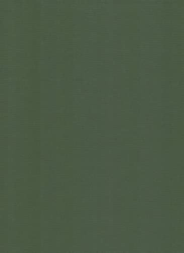 Linnekort papper-A4-kartong – 29,7 x 21 cm – 240 g – kartong (mossgrön, 50)