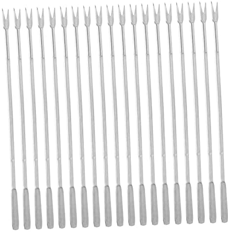 Hemobllo 15pièce Fourchettes à Noix Et Aiguilles Acier Inoxydable pour Fruits De Mer Outils Ouverture Service pour Homards Et Crustacés Facile à Nettoyer