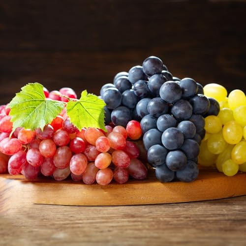 semi resistenti per le viti interna regali da giardino biologici colonnari 300pcs