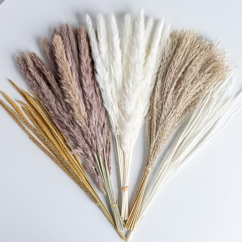 70PCS Natural Dried Pampas Grass Boho Home Decor Bouquet Phragmites Dried Flowers Bouquet for Wedding Floral Arrangements Living Room Decorations (70PCS)