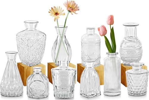Cptoion 10 Stück Kleine Vasen, Mini Vasen Set, Transparent