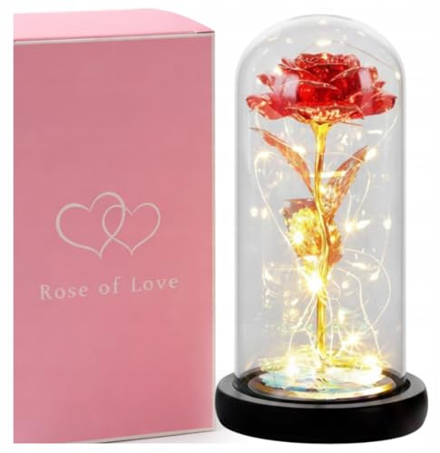 STYLIZER Ewige Rose im Glas mit Geschenkbox, Geschenke für Frauen | Infinity Rose Muttertagsgeschenk, Geschenk Freundin, Geburtstagsgeschenk Eternal Rose, Blume Perleffekt - STYLIZER