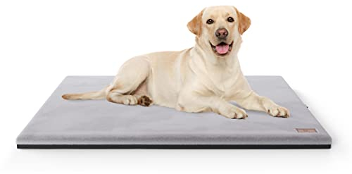 Knuffelwuff Orthopädische kuschelige Hundematte Berrith aus weichem Kaninchenfell-Imitat 100x70cm Grau - Hundekissen für große, mittelgroße und kleine Hunde - Für Zuhause, Auto, Wohnmobil, Wohnwagen