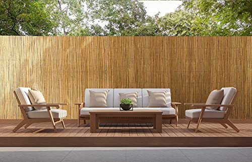 IlGruppone Arella in bambù per Recinzioni Stuoia Canne di Bamboo Frangivento Frangivista Naturale Giardini Balconi Schermo Privacy Ombreggiante - Naturale - 1x3 M