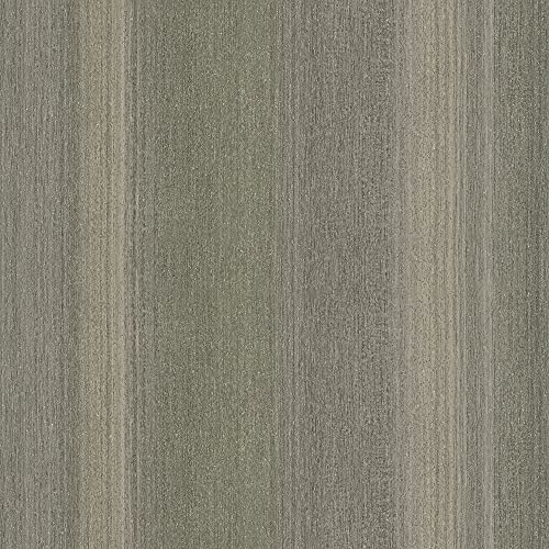 Galerie 32837 Perfecto 2 - Carta da parati a righe, 10,05 m x 53 cm, colore: Grigio/Marrone