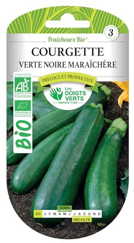 Graines courgette verte noire maraîchère BIO Les Doigts Verts
