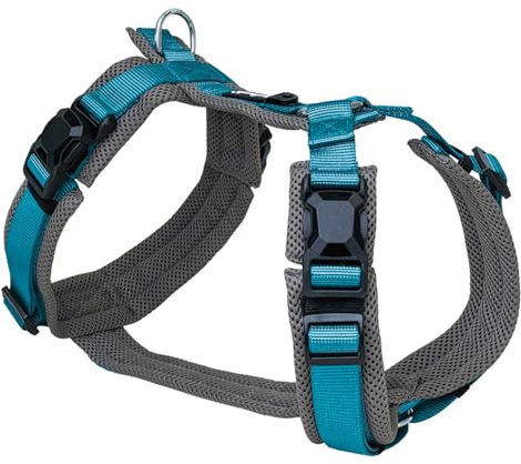 Petlando Hundegeschirr Magnetech Y-Comfort – Innovative Magnetschnalle, atmungsaktiv, mit Mesh gepolstert, stufenlos verstellbar – anthrazit/Petrol XL (Halsumfang 60-108cm, Brustumfang 68-100cm)