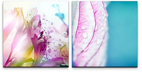 Paul Sinus Wandbild 2x60x60cm Blumen Orchidee Wasserperlen Türkis Dekorativ Schön Makrofotografie