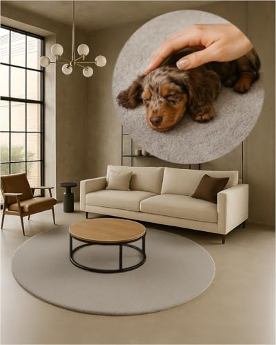 TEXMAXX Weicher Kurzflor Teppich Wohnzimmer mit rutschhemmender Rückseite (180 x 180 cm Rund) - Modern für Flur, Esszimmer und als Schlafzimmer Teppich in Beige dunkel - Waschbar bis 30 Grad