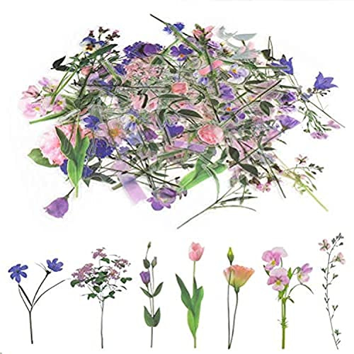 80 Pcs Flower Stickers, Self-Adhesive Paper Stickers for Scrapbooking | Removable Floral Stickers For Cards, Notebooks, Letters and DIY Crafts, Clear Design, Easy Peel and Apply