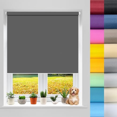 Tenda Oscurante Termica 50 x 190 cm Tenda a Rullo Termica Oscurante, Tapparella Avvolgibile, Avvolgibile poliestere Isolamento Termico per Camera da Letto, Soggiorno, Grigio Scuro