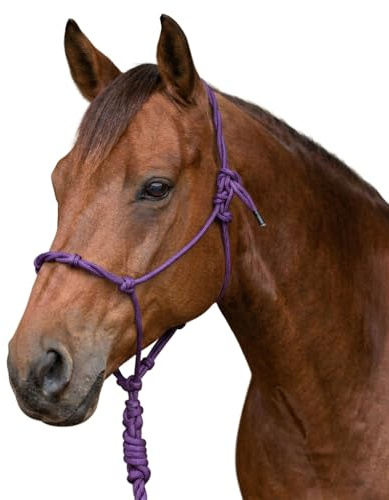Knotenhalfter Pferd, Trainingshalfter aus stabilem Seil, Rope Halfter Bodenarbeit, verstellbar, Pferdehalfter Pink Lila (Lila, Pony)