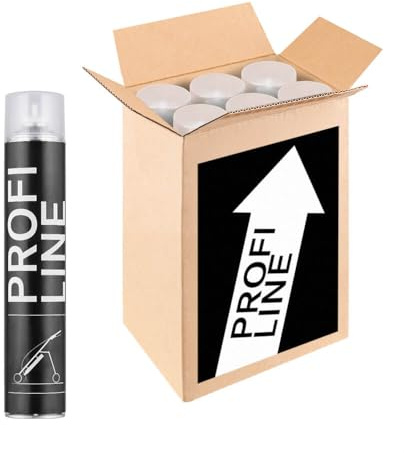 PROFI LINE 6 Dosen Schutzlack Bodenmarkierfarben PROFILINE, farblos, 750 ml Spraydose, Art.-Nr. 38437 | Bodenmarkierungsfarbe | Straßenmarkierungsfarbe | Markierungsspray