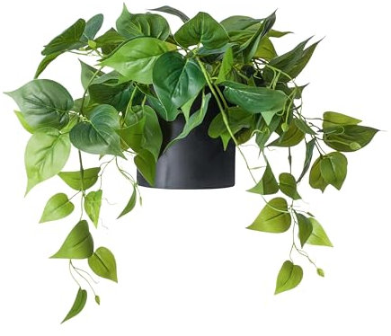 FOREVER LEAF Artificial Pothos Plant, Small, Black Pot, Minimalist Style, 1 Count, Weather Resistant, Ideal for Home Decor, Office, Living Room, Guest Bedroom, Bathroom, Outdoor