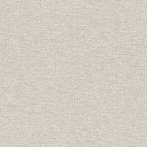 Rasch Papier peint intissé 452013 de la collection Kalahari - Gris clair - Structure textile - 10,05 m x 53 cm (L x l)