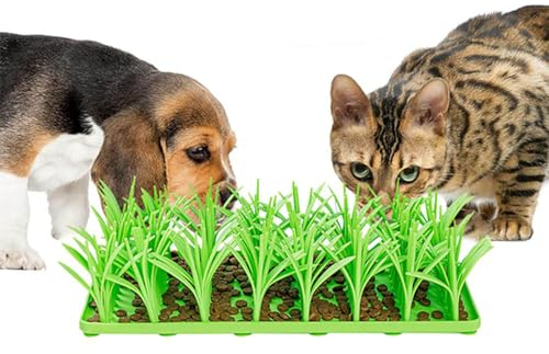Silikon-Grasmatte für Katzen, Futtermatten für Hunde, Schnüffelmatte für Hunde und Katzen, Schnüffelmatte, Nasenarbeitstraining, fördert natürliche Futtersuche und Stressabbau