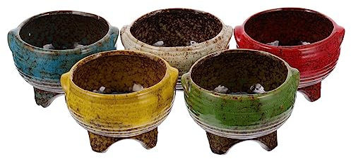 Toyvian Maceta para Suculentas de Cerámica 5 Piezas Color para Jardín Interior Drenaje Pequeño Orificio Decorativa Multifuncional para Balcón Escritorio Oficina