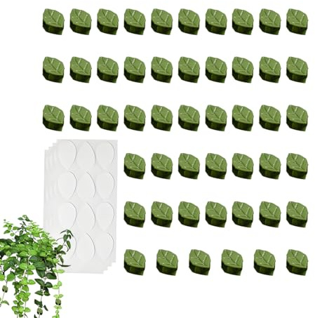 Clips muraux pour | Support Invisible Pothos avec Autocollants – Outil de Fixation réutilisable, décoration de la Maison pour Balcon, fenêtre, Plafond, Mur