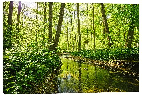 Posterlounge Frischer grüner Wald Leinwandbild