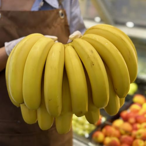 bananensamen bananenbaum bio obstbäume kaufen bananen winterharte balkon obstsamen bonsai balkonpflanzen säulenobst hochbeet bonsaibaum nachhaltige geschenke exotische winterfeste 200samen