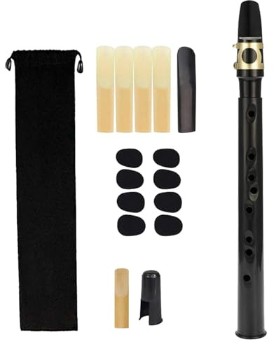 Mini Pocket Saxophone Set, Portable Small Saxophone with Mouthpiece, Reeds, Carry Bag for Instrument Players Kids Beginners Amateurs