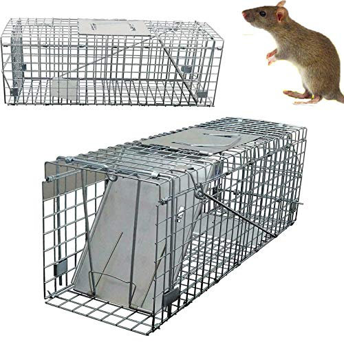 Feidak Humane Cage de piège pour animaux vivants Motif écureuil, raton laveur 61 x 19 x 21 cm
